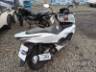 2025 HONDA PCX 