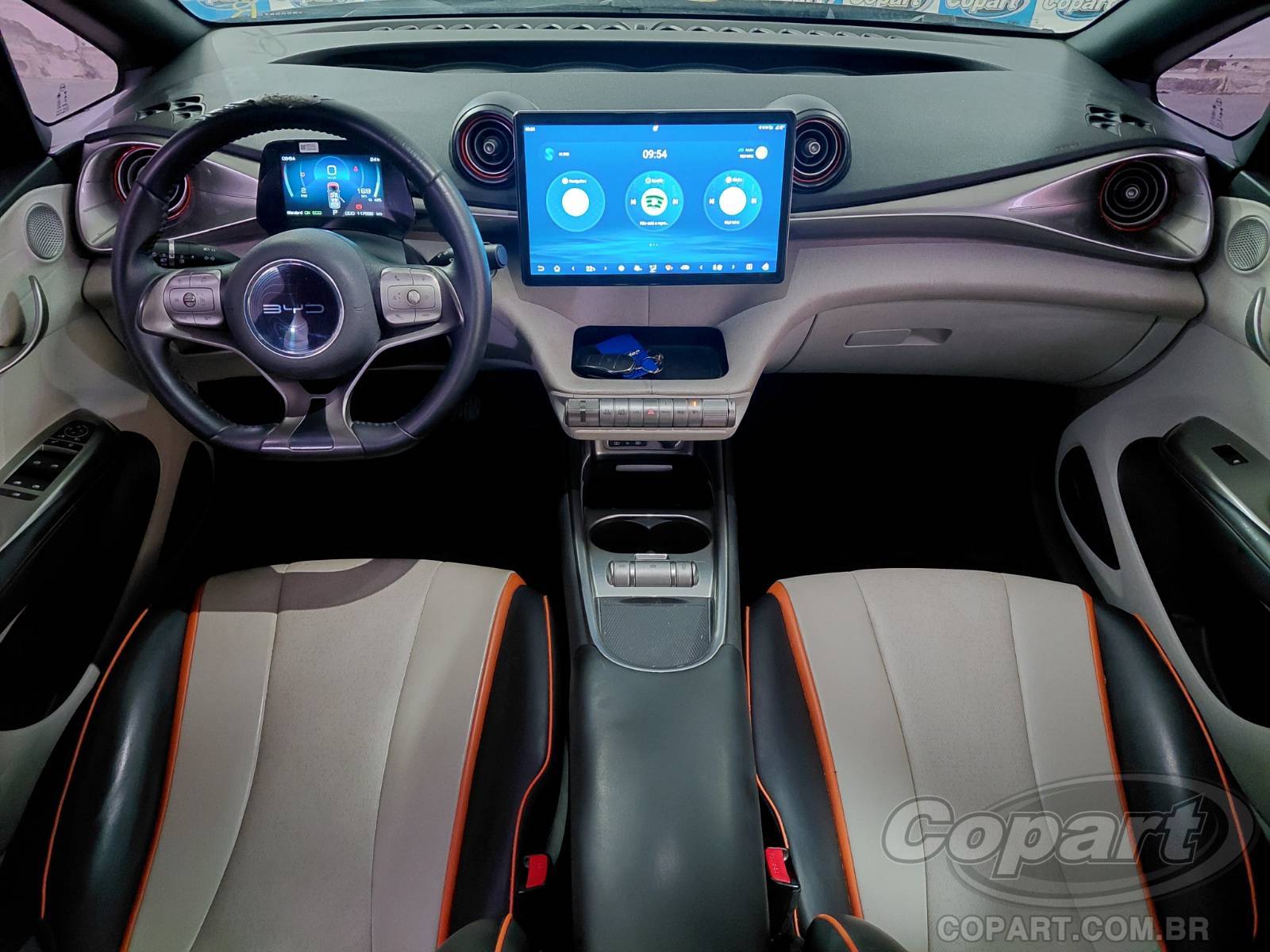 2024 BYD DOLPHIN — foto 9 de 11