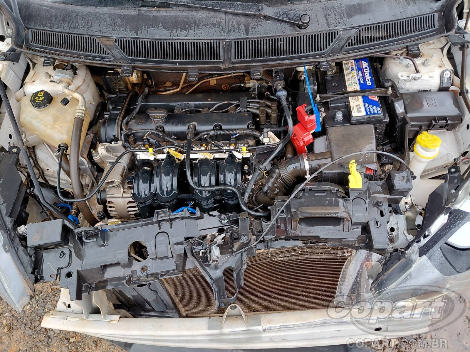 Foto 7 de 11: 2016 FORD KA
