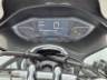 2024 HONDA PCX 