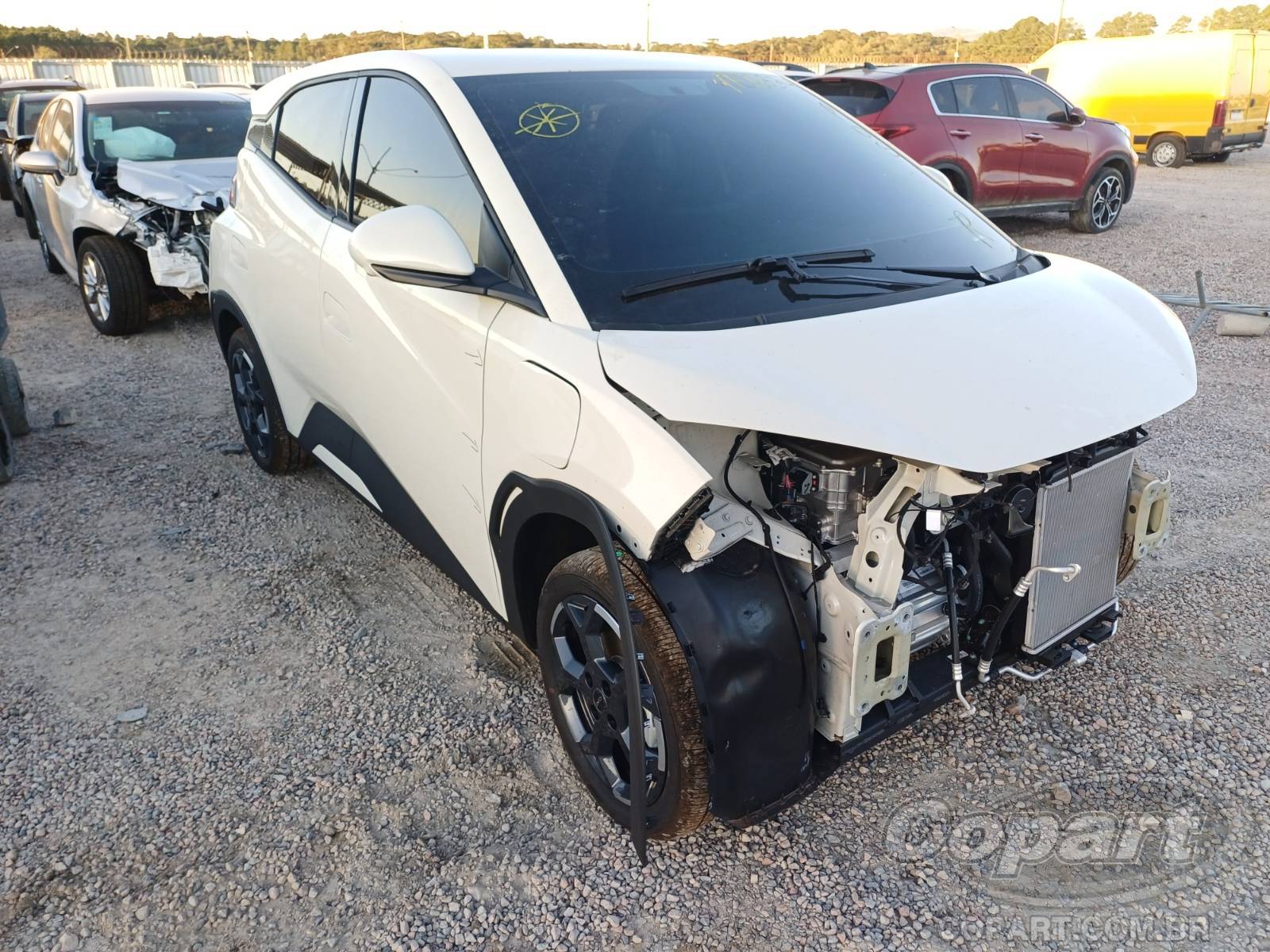 BYD Dolphin Mini 2027