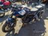 2024 TRIUMPH TIGER 