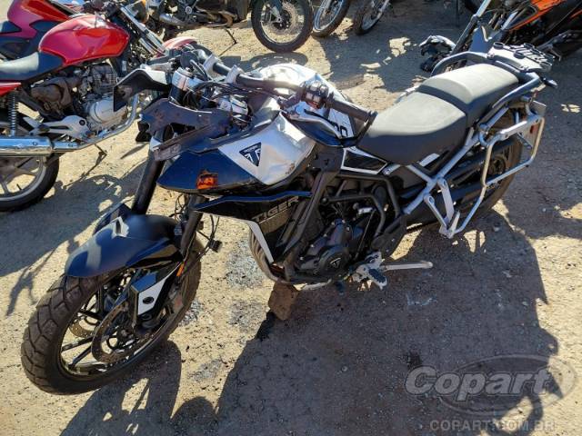 2024 TRIUMPH TIGER 