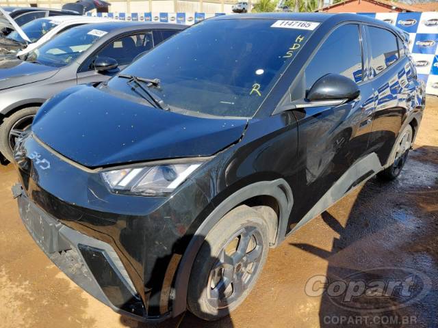 2025 BYD DOLPHIN MINI 
