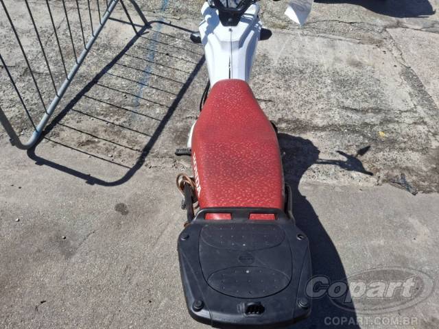 2024 HONDA POP 