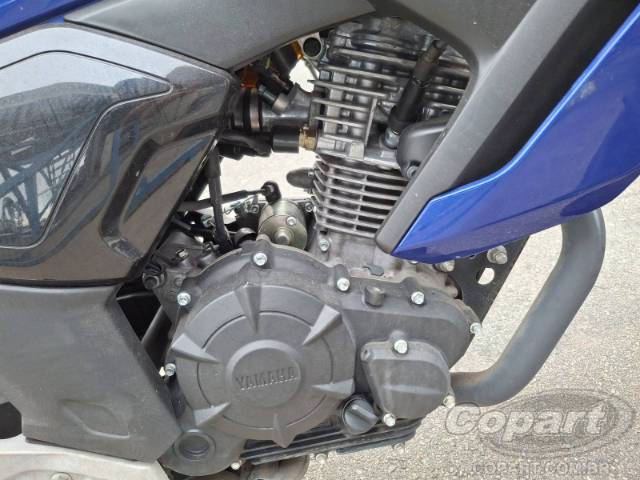 2024 YAMAHA FZ15 