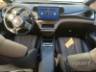 2025 BYD DOLPHIN 