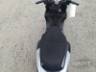 2020 HONDA ELITE 
