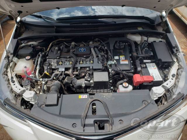 2023 TOYOTA COROLLA 