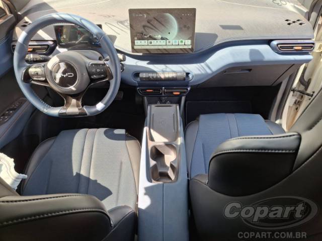 2025 BYD DOLPHIN MINI 