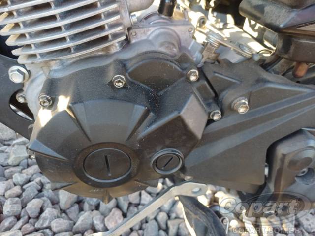 2024 YAMAHA YBR 150 FACTOR 