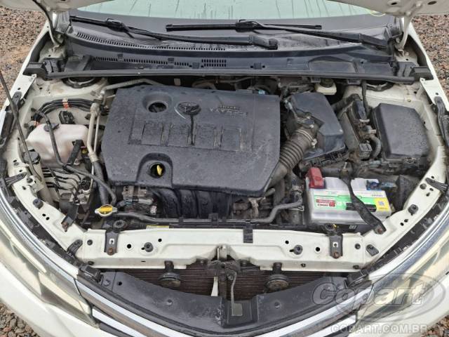 2019 TOYOTA COROLLA 