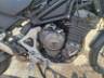 2024 TRIUMPH TIGER 