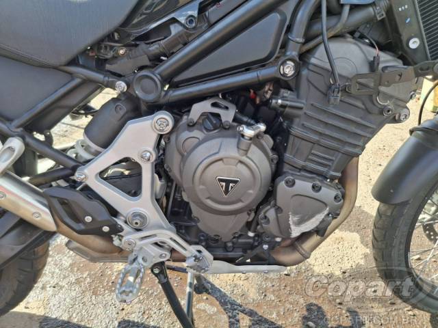2024 TRIUMPH TIGER 