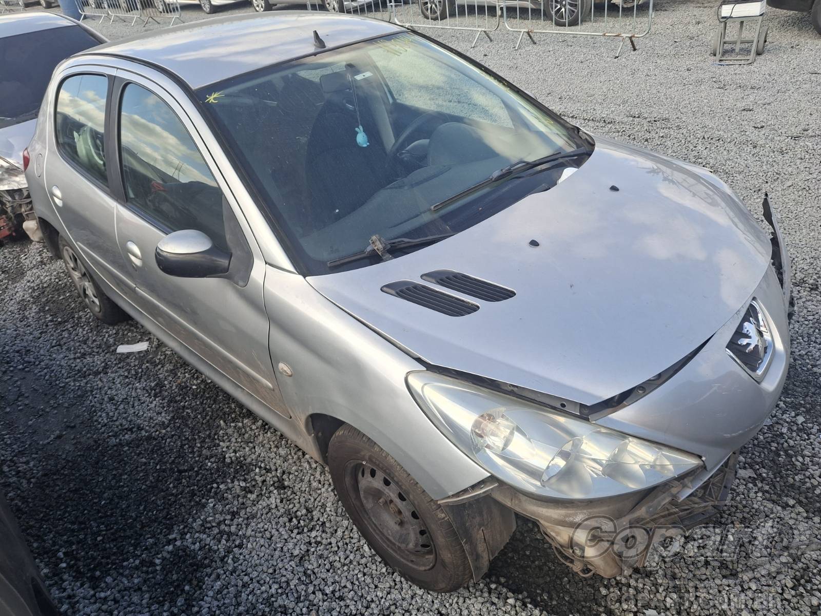 Peugeot 207 1.4 Flex