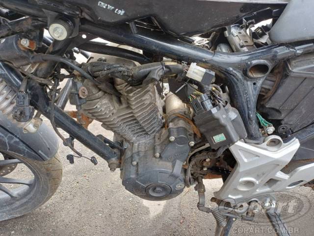 2023 HONDA CB 300F 