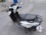 2026 HONDA ELITE 