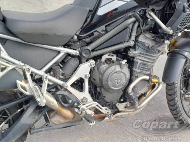 2024 TRIUMPH TIGER 