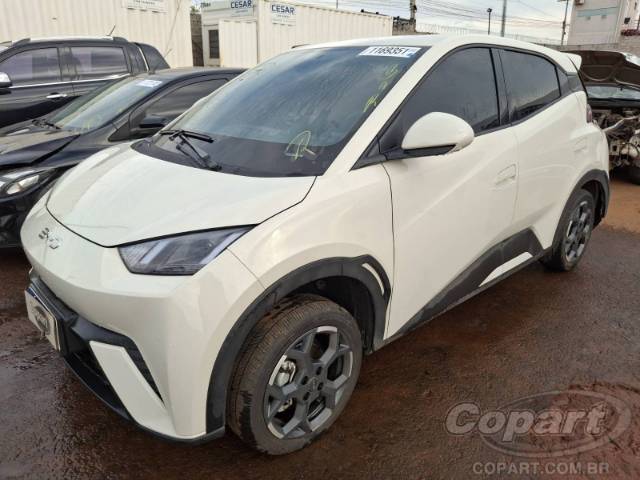 2026 BYD DOLPHIN MINI 