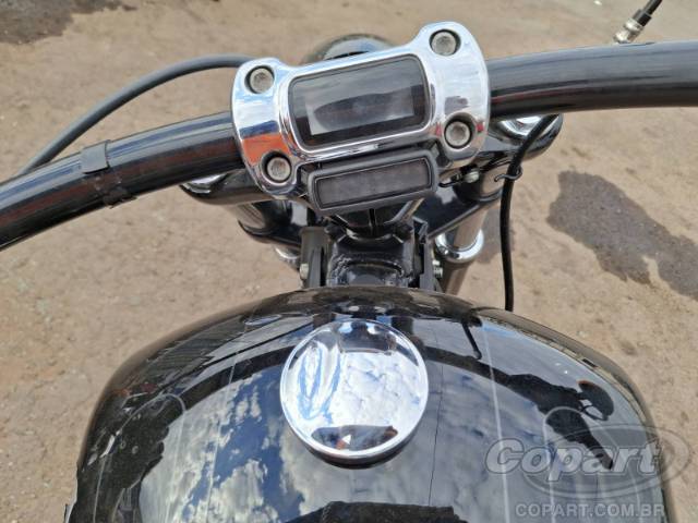2019 HARLEY-DAVIDSON SOFTAIL 