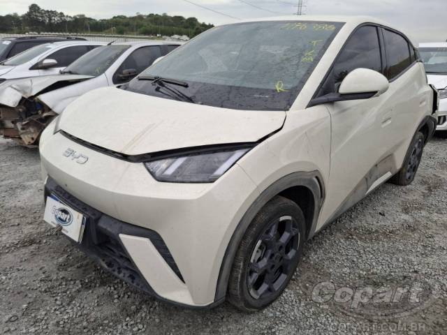 2026 BYD DOLPHIN MINI 