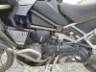 2024 TRIUMPH TIGER 