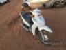 2024 HONDA BIZ 