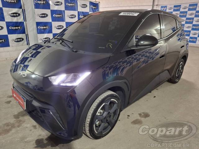 2025 BYD DOLPHIN MINI 