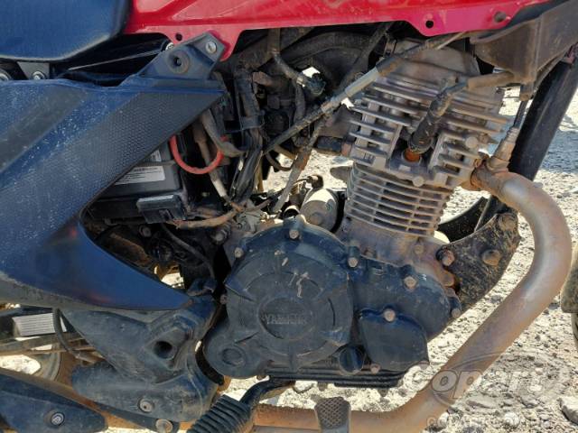 2023 YAMAHA YBR 150 FACTOR 