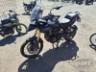 2024 TRIUMPH TIGER 