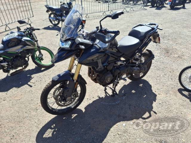 2024 TRIUMPH TIGER 
