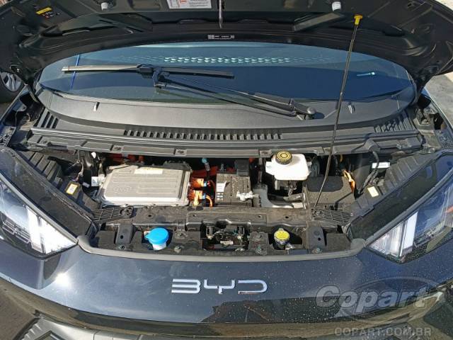 2025 BYD DOLPHIN MINI 