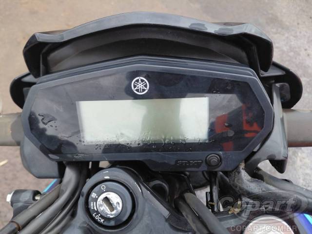 2024 YAMAHA FZ25 FAZER 