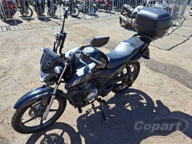 2025 YAMAHA FACTOR 