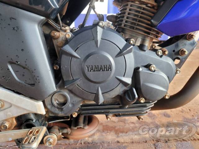 2024 YAMAHA FZ15 