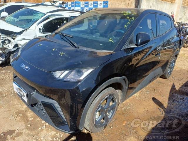 2025 BYD DOLPHIN MINI 