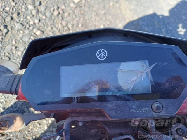 2021 YAMAHA FZ25 FAZER 